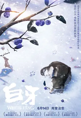 婷婷在线视频